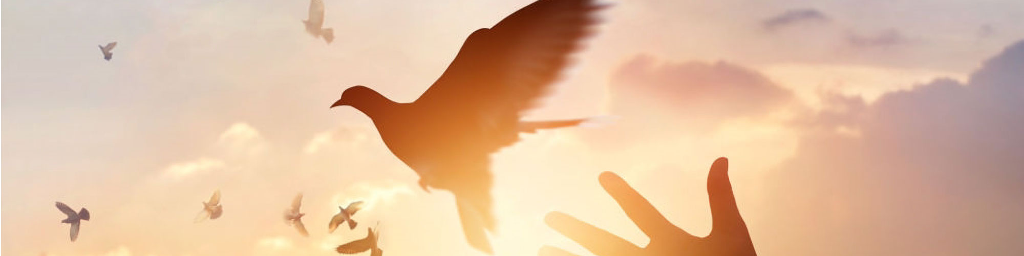 Mediation and Coaching